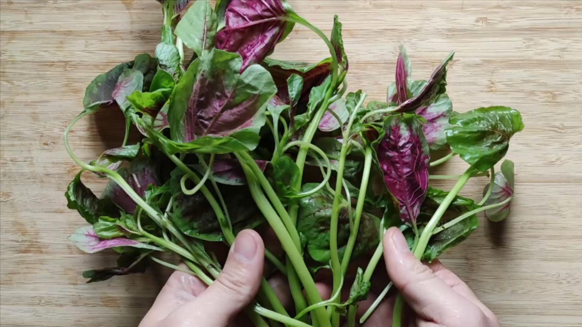 9种蔬菜不打药,不打农药的蔬菜含钾吗