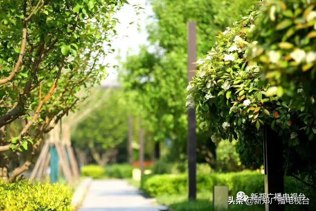 新郑美丽乡村规划图,建设美丽新郑市