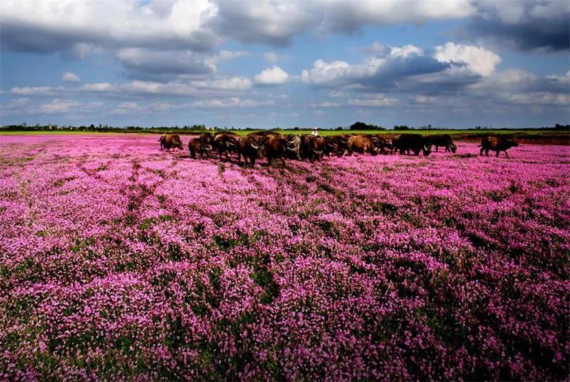宫颈癌康复期食谱大全,我得宫颈癌的经历