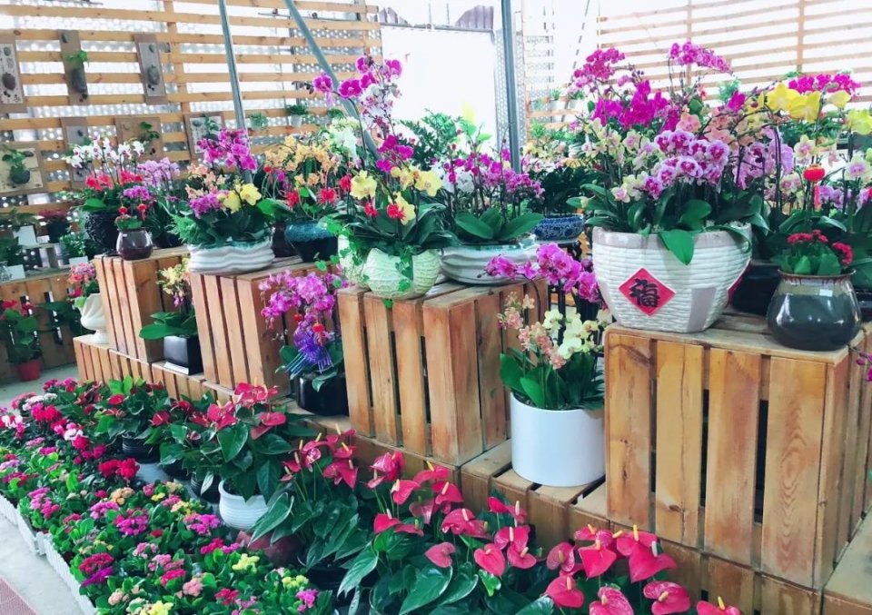 深圳年货批发市场进货渠道,深圳宝安区年货批发市场