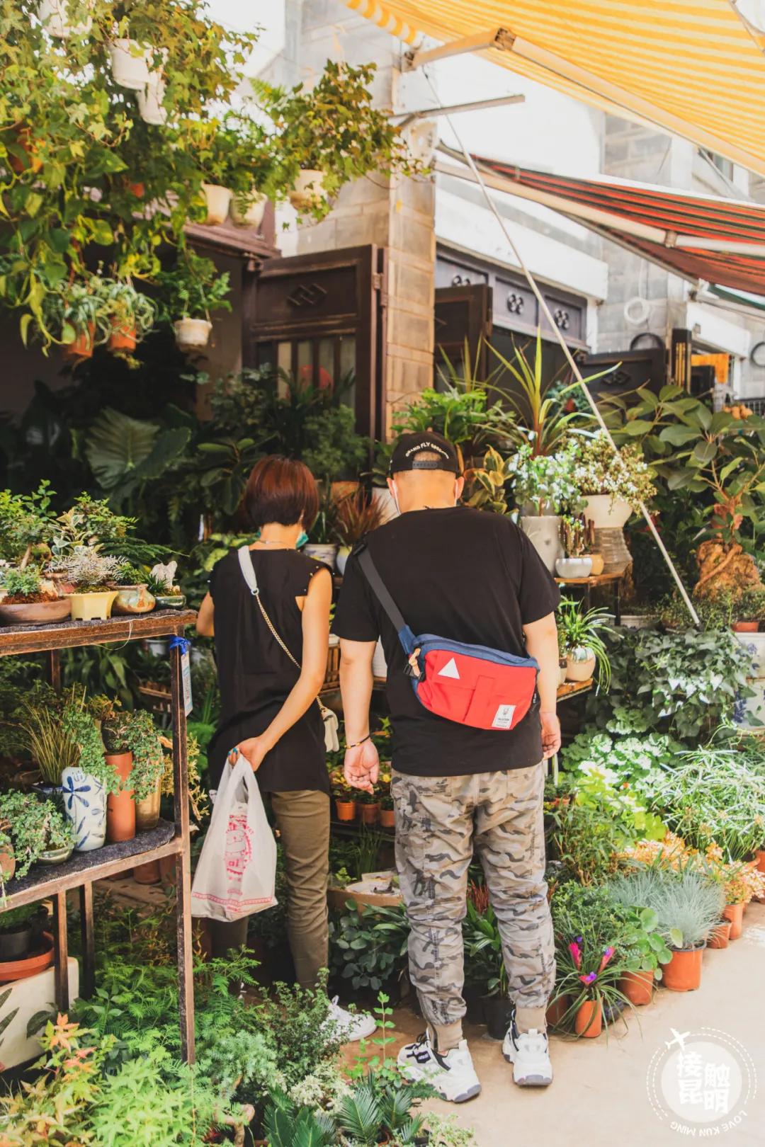 逛花卉市场赏心悦目,逛花鸟市场的快乐