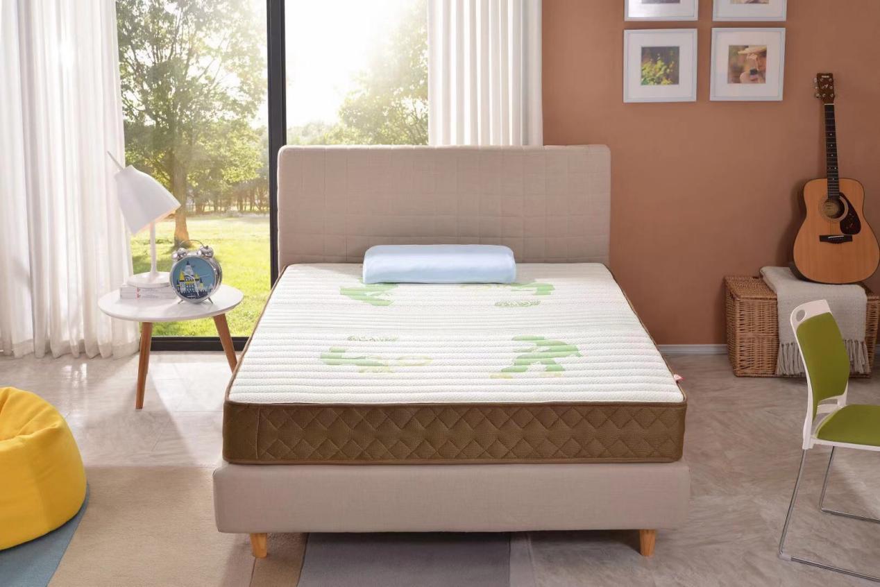 棕榈床垫生虫是质量问题吗,棕榈床垫会长床虱吗