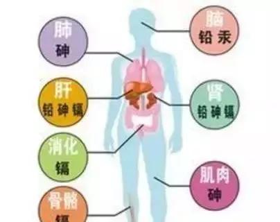 水银温度计打碎了引起的事故,水银温度计打碎了人怎么善后