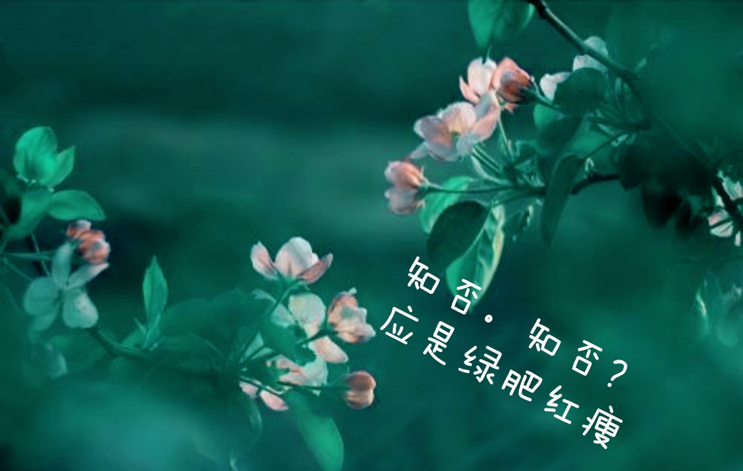 涓浗鍗佸ぇ绾㈣壊缁忓吀璇楄瘝,鍗佸ぇ绾㈣壊缁忓吀璇楄瘝