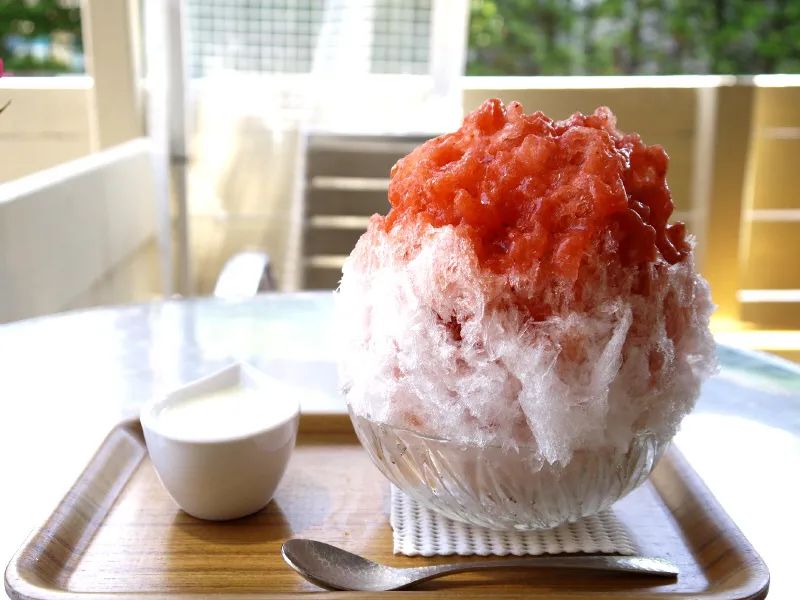 宸℃父鏃ユ湰,鏃ユ湰浜兘宸℃父