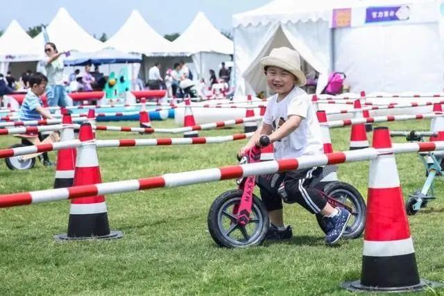 上海最大薰衣草公园,上海薰衣草公园迪士尼