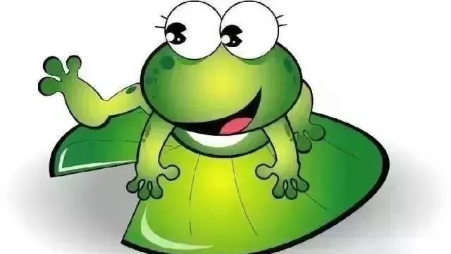 董卿十年全文,董卿阅读分享