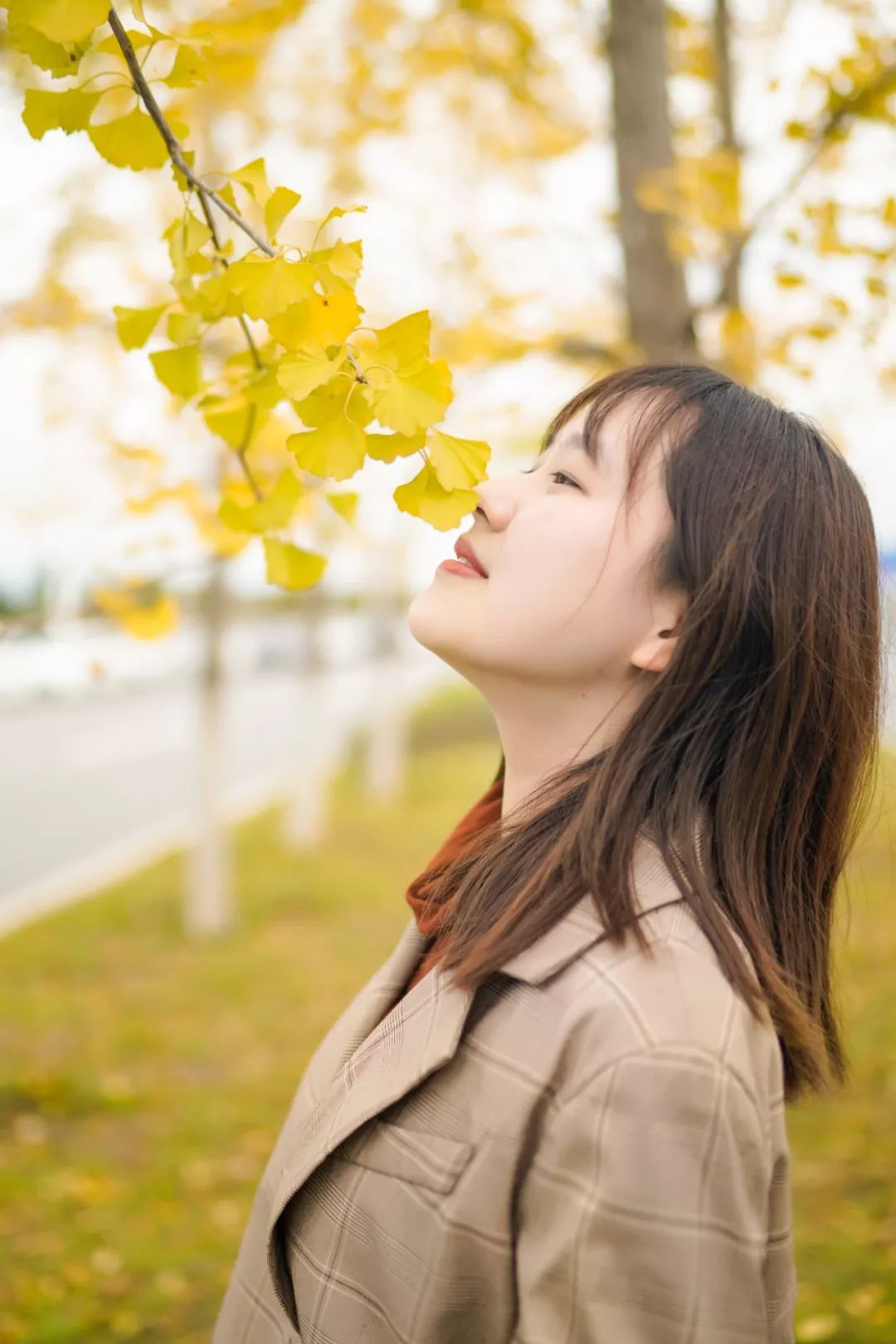 十堰银杏风景区在哪里,十堰银杏景点