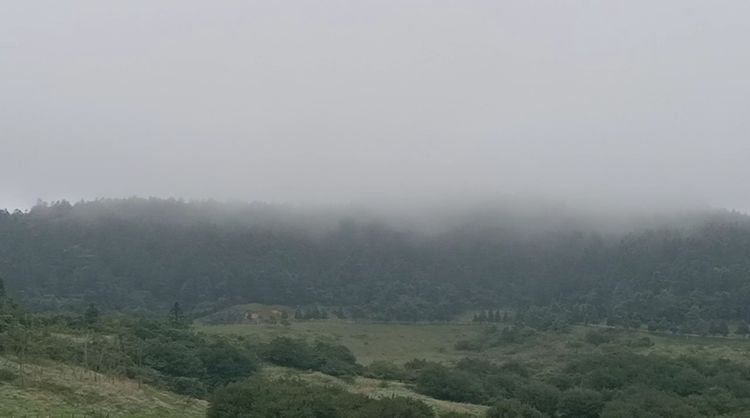 大美武隆仙女山,畅游重庆武隆区仙女山