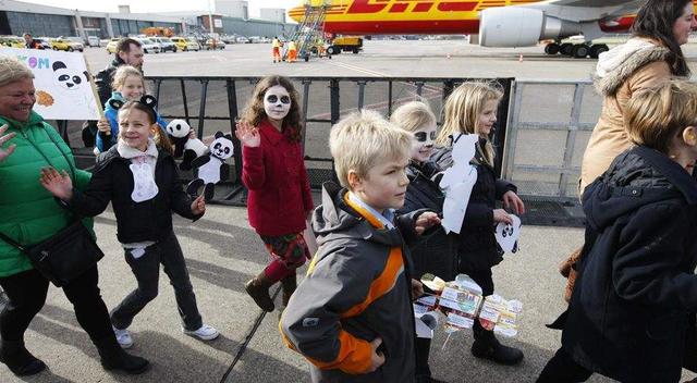 大熊猫在外国有多红,大熊猫外国人印象