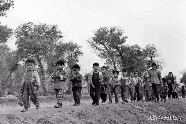 伟大的新疆,伟大的阿勒泰