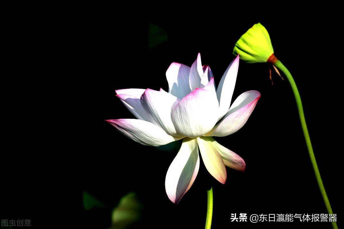 可燃气体探测报警系统现场检测,可燃气体探测报警系统使用说明书