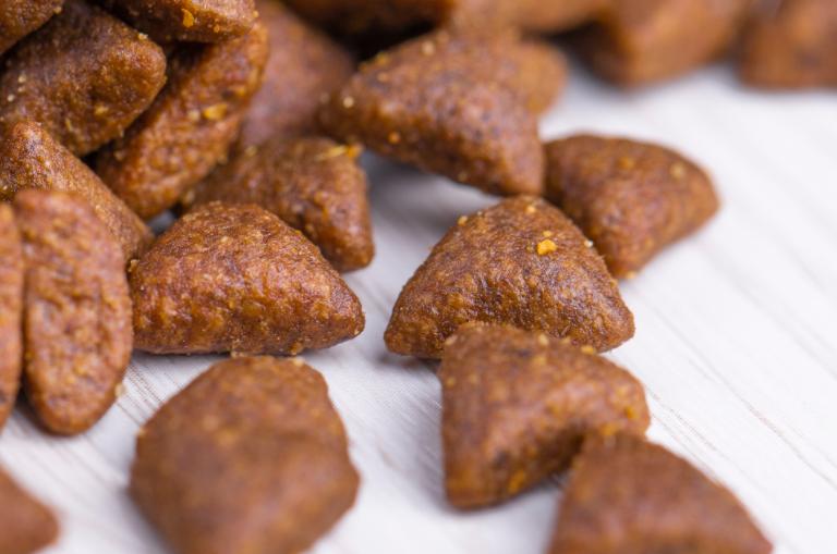 缅因猫一定要吃益生菌吗,喜喵猫粮适合缅因猫吃吗