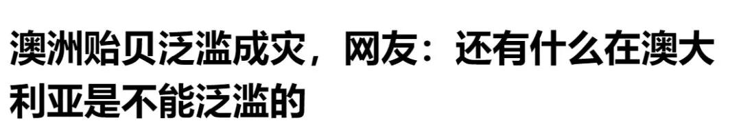 青蟹大批入侵澳洲,红蟹泛滥澳大利亚人怎么处理
