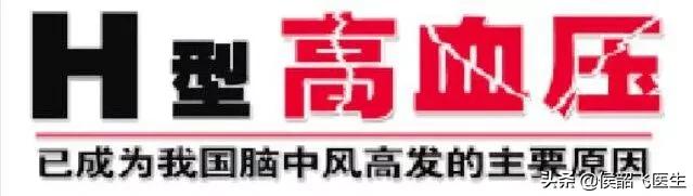 h型高血压每天用叶酸多少毫克,张之瀛大夫谈h型高血压补叶酸