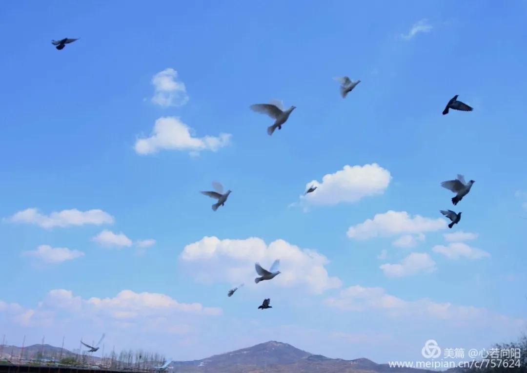 春水初生林初盛春,春水初生林初盛