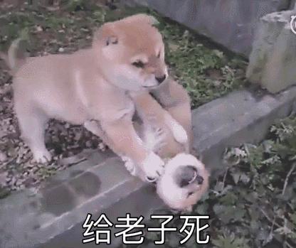 连退个押金都要靠薛定谔的返现了，还有什么办法避过消费主义深坑