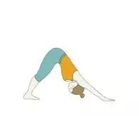 一套60分钟扭转核心瑜伽练习完整序列（收藏级）