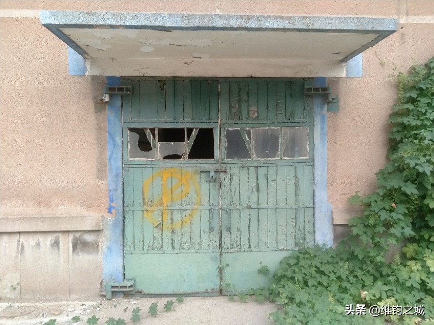 聊城人啊，请再看她一眼！