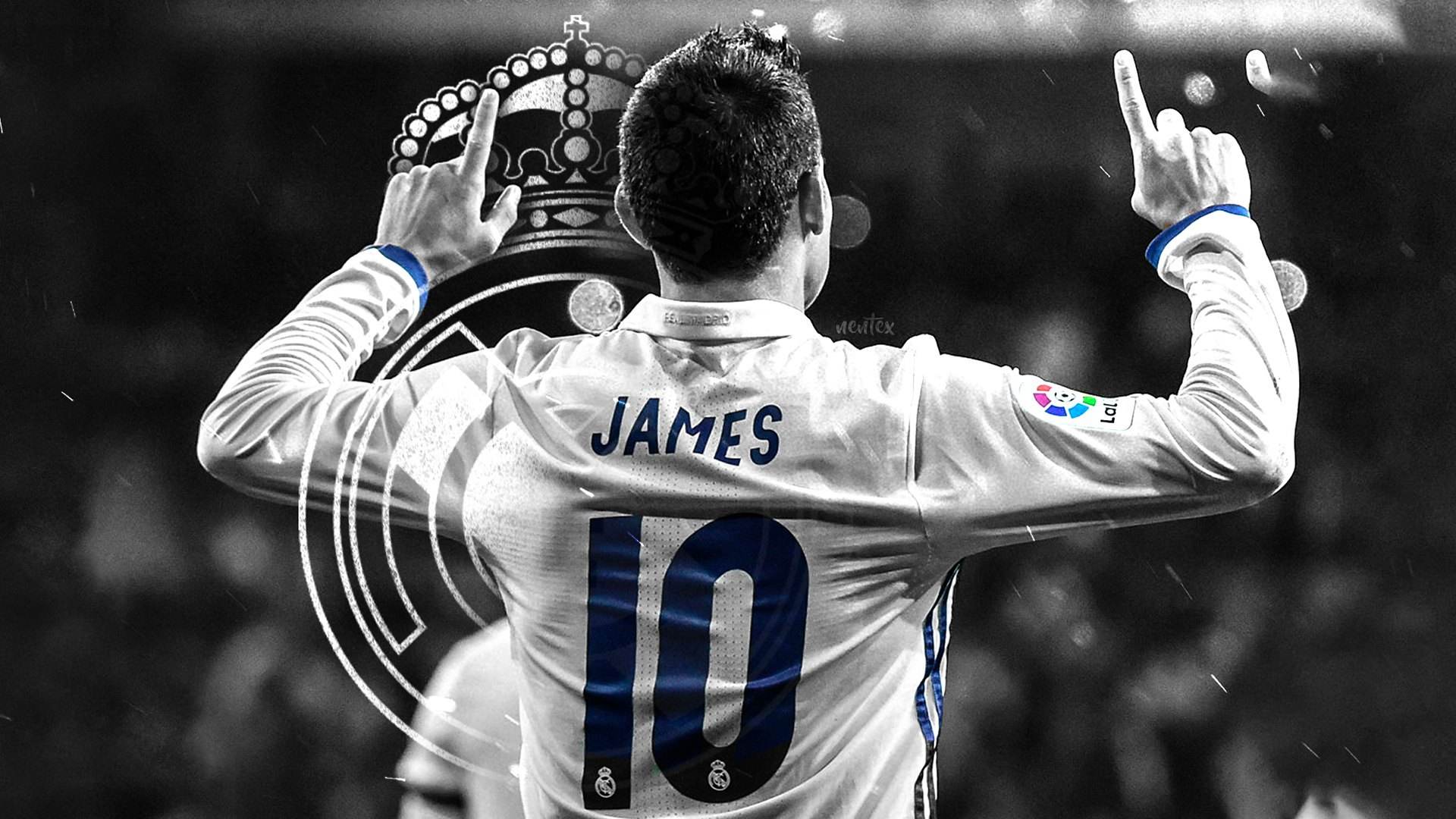 *率赔**的释义（心水干货）