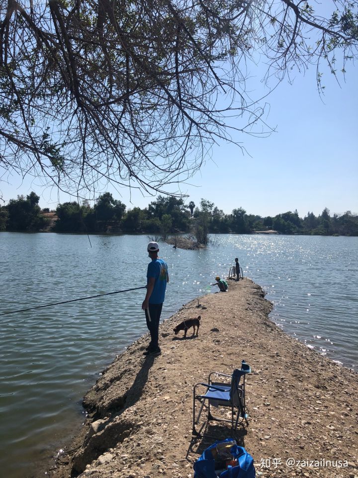 美国现在真实社会现状,美国社会真实的现状