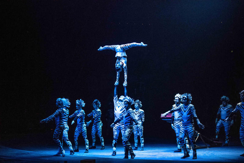 玩转广州长隆野生动物世界之行,广州长隆动物世界游玩攻略图