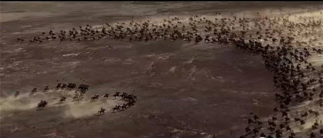 古往今来,你对敌阵法知多少