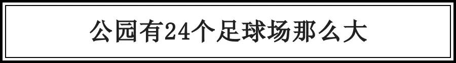 深圳建最大足球场,深圳足球公园效果图
