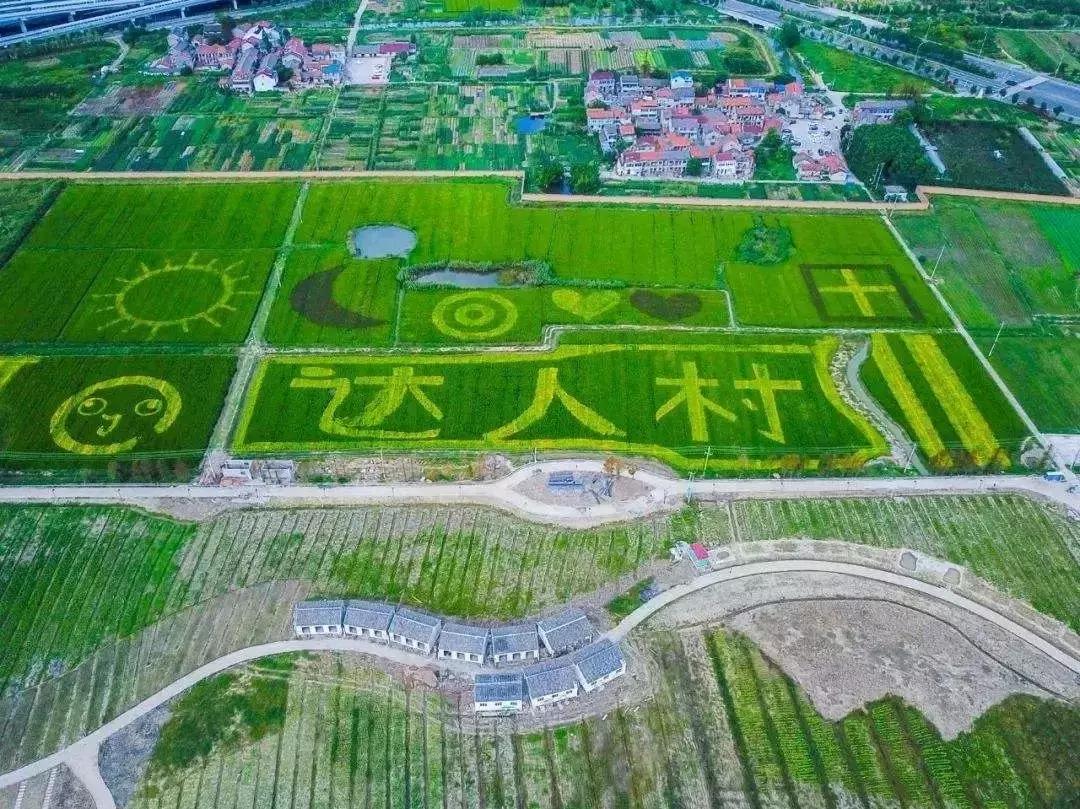 2022帐篷音乐节,帐篷露营音乐节