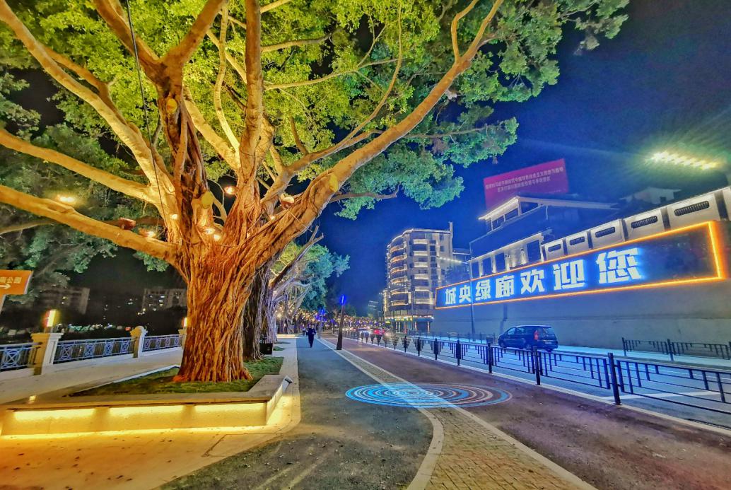 江门新围附近网红打卡点,江门好玩的地方网红打卡