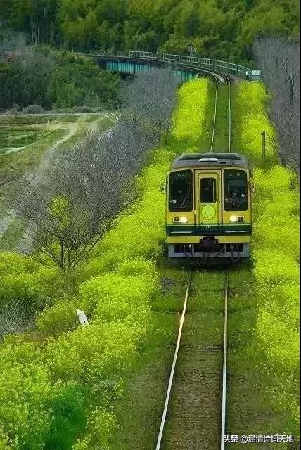 诗词大会寻味飞花令,诗词大会飞花令相思
