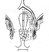 什么是近距离交叉口,什么是近距离用眼时间