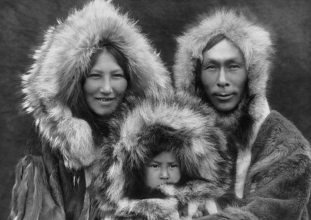 各人种之间为何不存在生殖隔离？黑种人、白种人、黄种人发展史