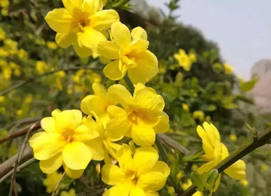 无锡遛娃户外免费,无锡惠山区遛娃好去处