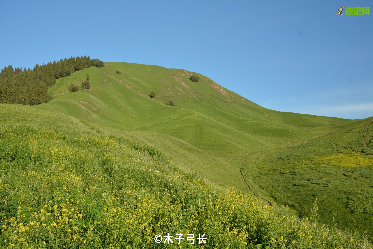 梵高画不出的向日葵,梵高画中的风景