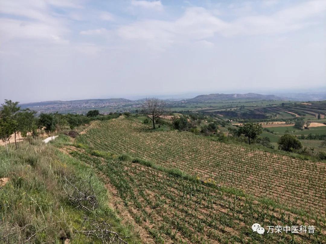 跟我回家在线免费看,跟我回家免费看