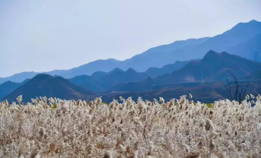 机票490飞往黄河过大年，主人请吃年夜饭，9项新年活动免费送