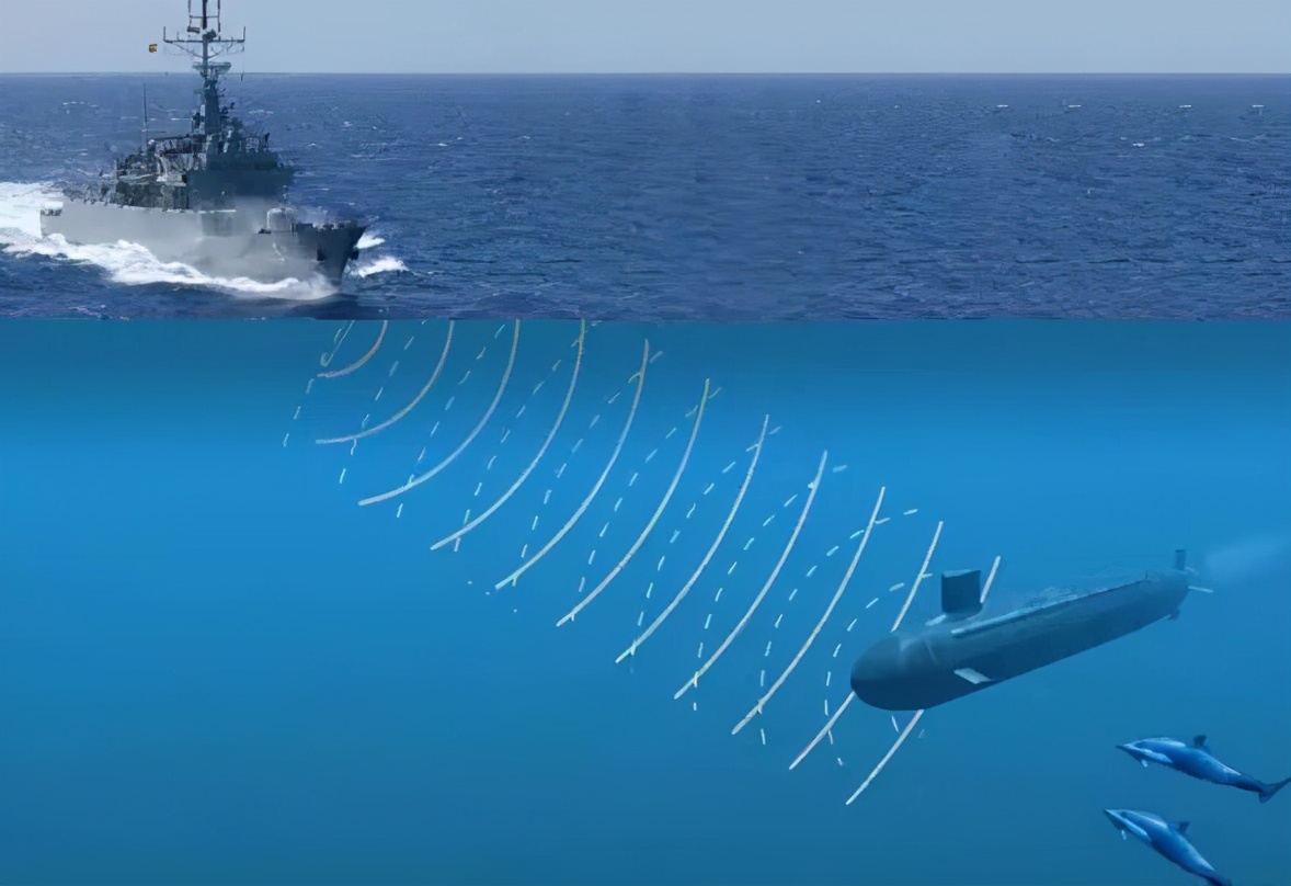 台州鲸鱼搁浅现状直播,台州鲸鱼搁浅死的鲸鱼怎么处理