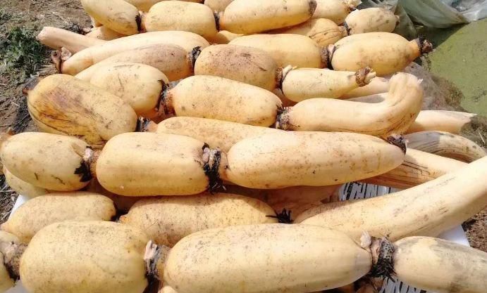 山东农产品对接平台运营数据,山东生鲜农产品运营平台