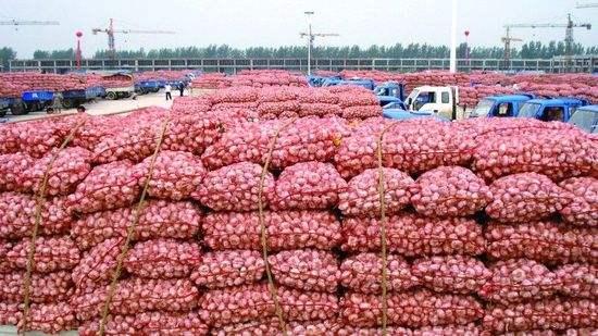 大蒜多少钱一斤？2019年5月大蒜行情鲜蒜上货大增行情向好发展