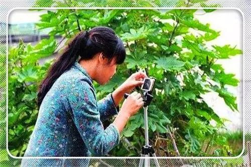 适合农村创业的最新致富项目,致富门路创业项目养殖