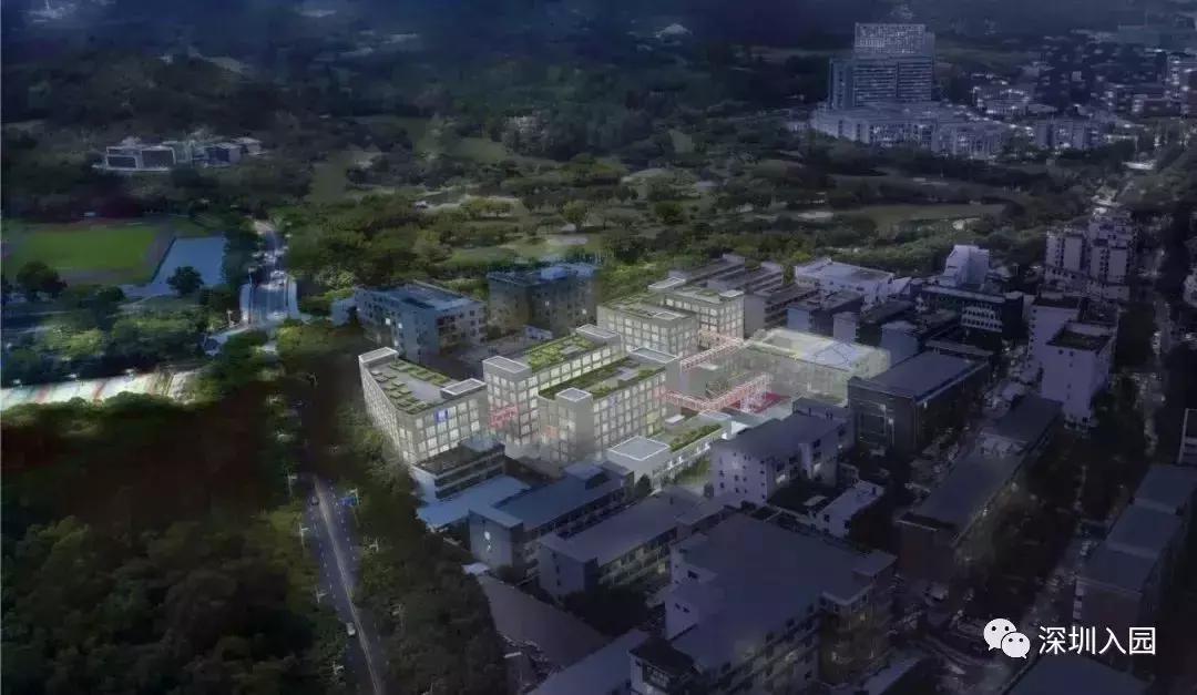 深圳顶级国际幼儿园排行榜,深圳国际幼儿园学费大约多少钱