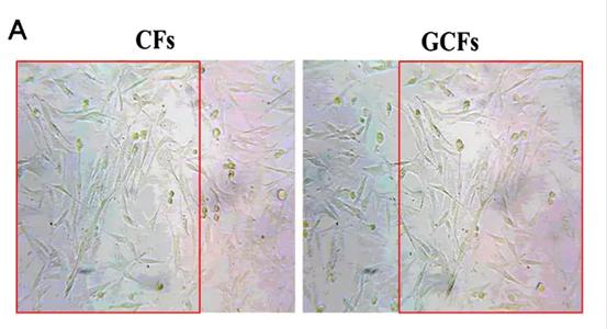 南昌大学第二附属医院，沧州中心医院等单位发表的sci论文遭质疑