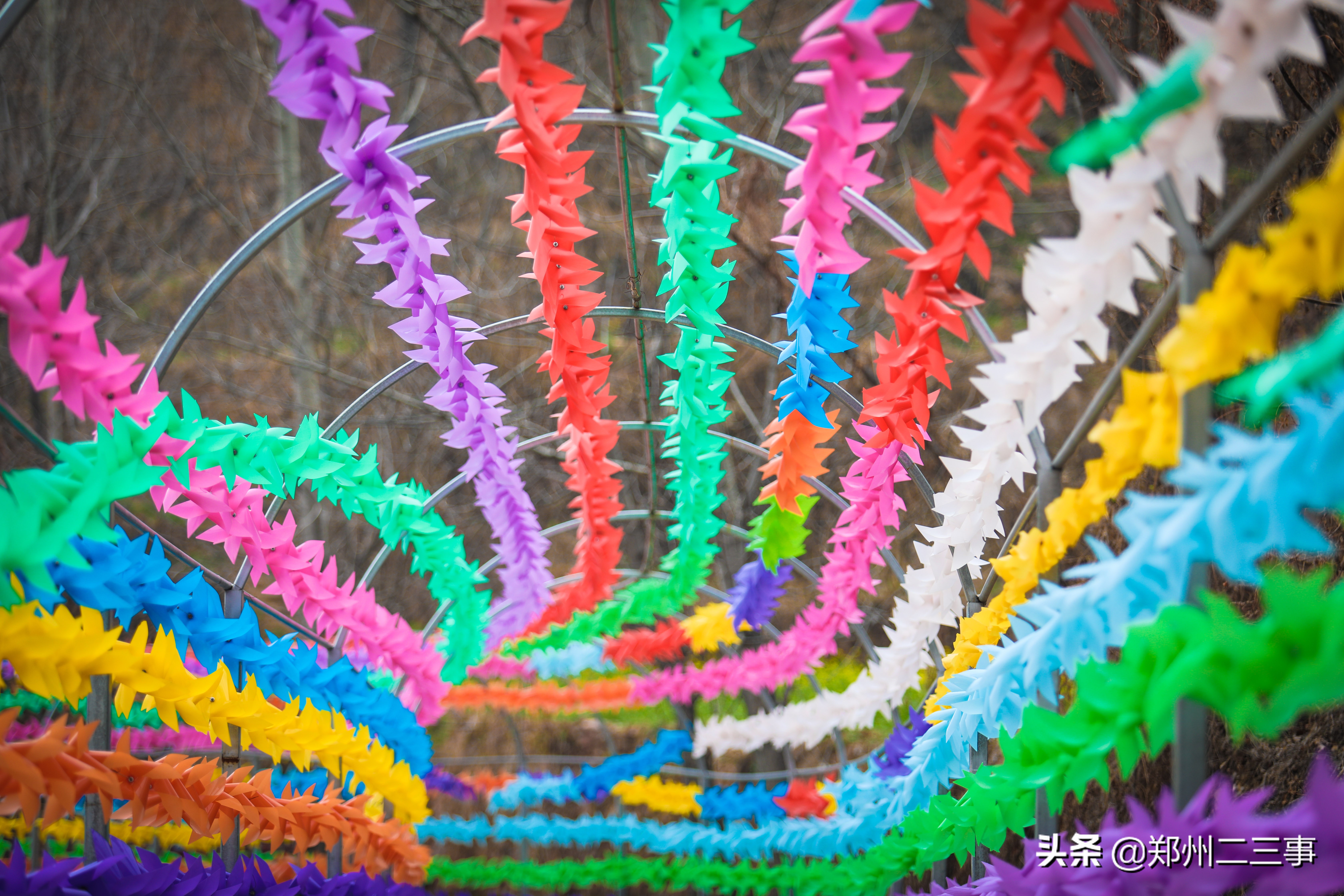 郑州惠济区免费遛娃好去处植物园,郑州遛娃踏青好去处