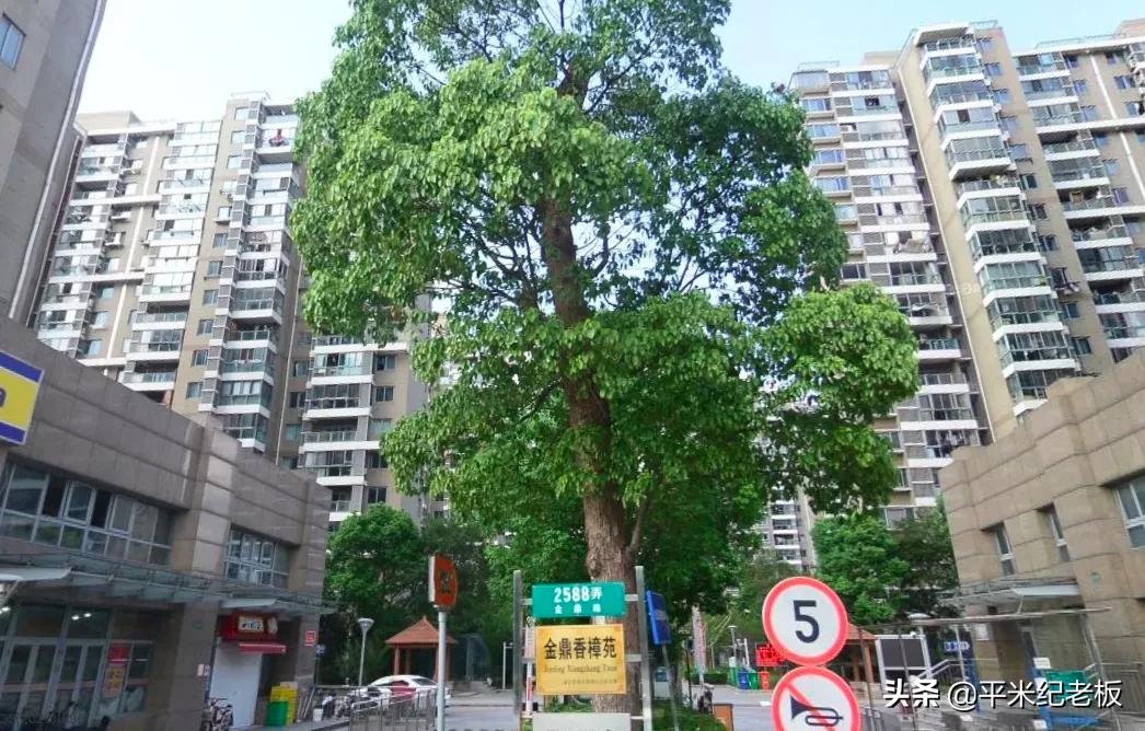 上海14号线开通沿线房价,地铁14号线哪里买房好