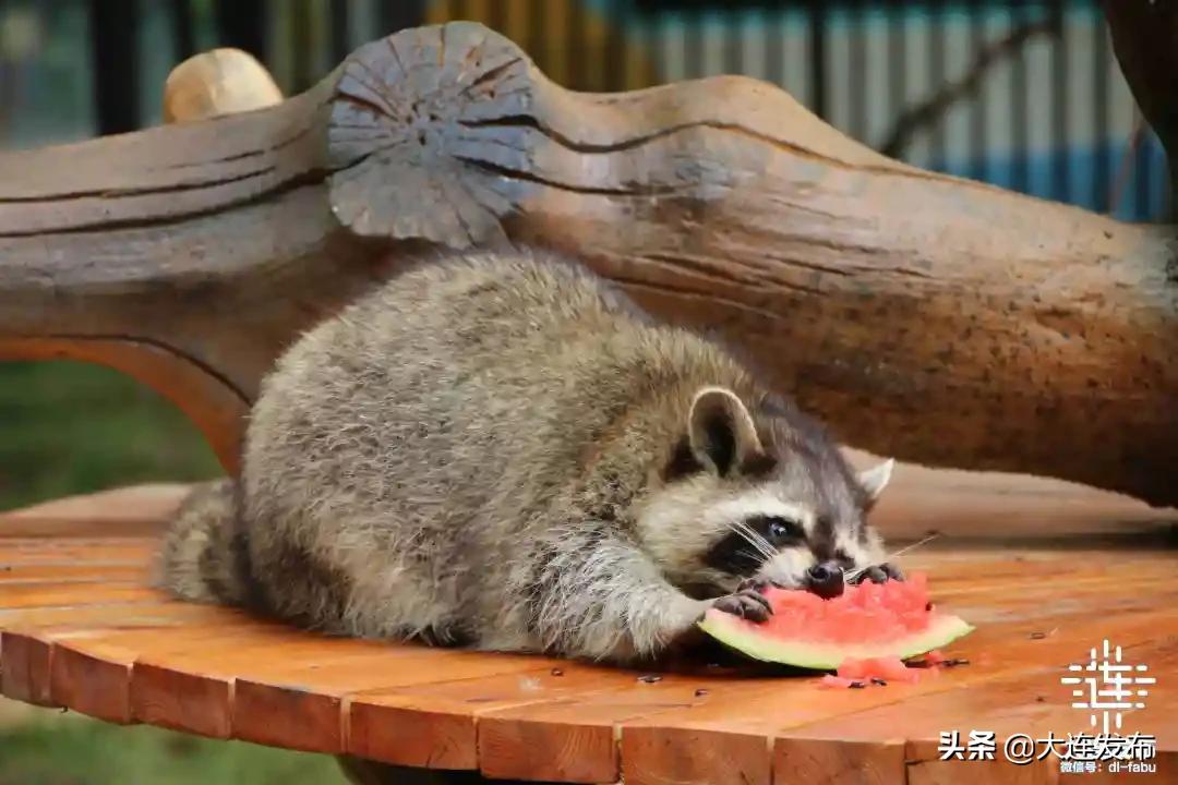 黄金周不打烊,黄金周不出门