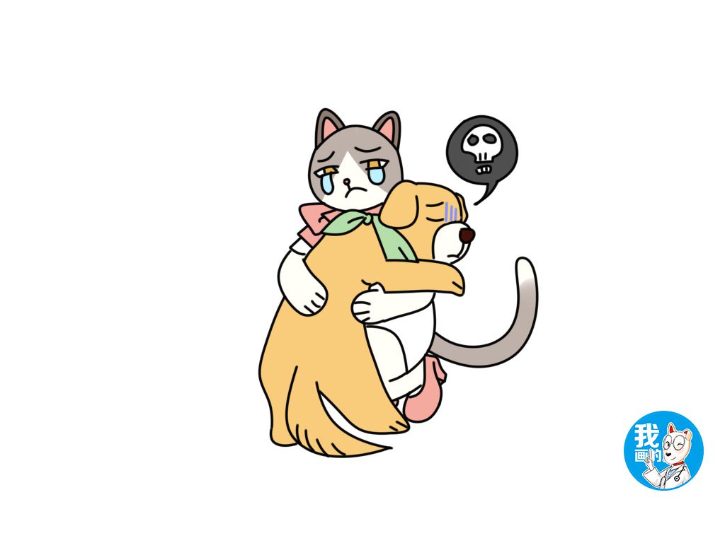 狗狗安乐死反悔了还可以救活吗,狗狗被安乐死后续