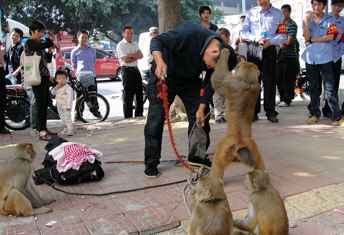 防水补漏的车怎么挣钱的,在内蒙古开着面包车做防水补漏