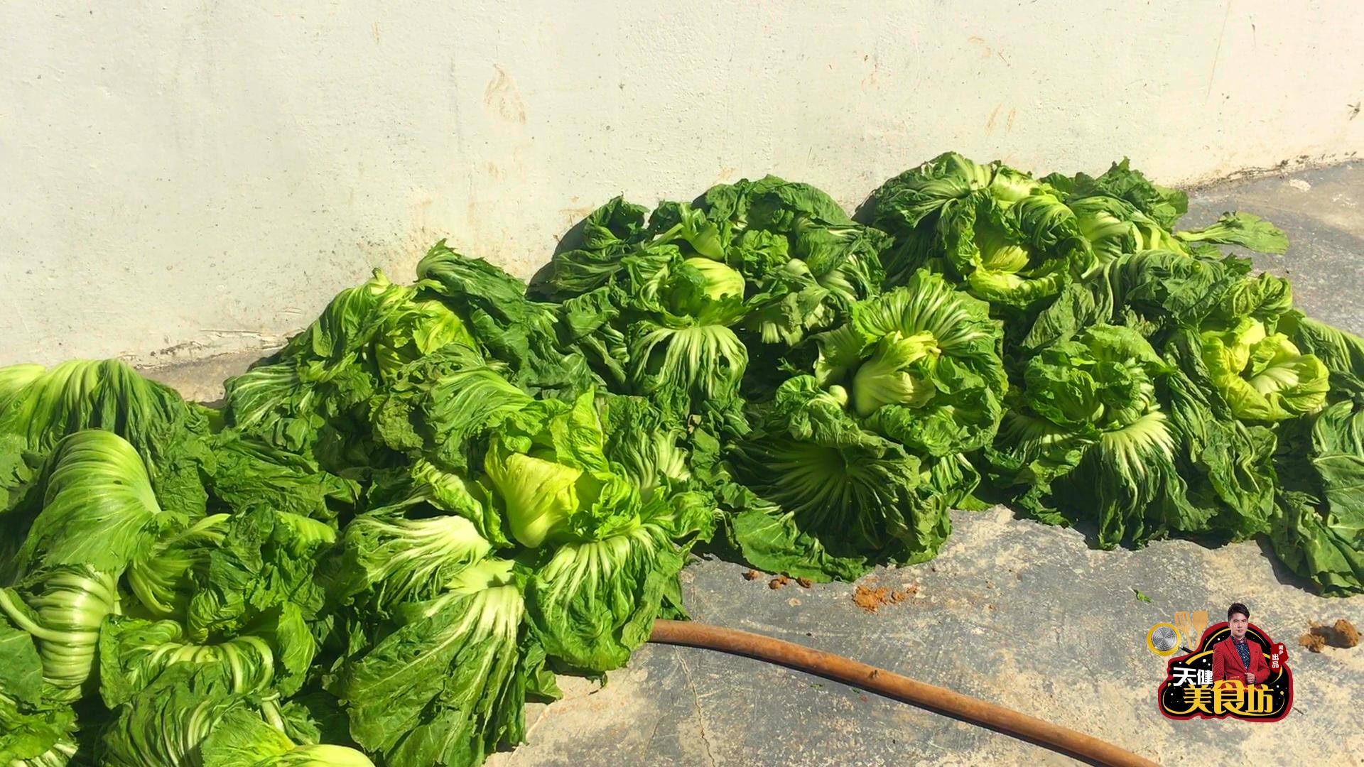 广东酸菜制作方法和过程视频,广东酸菜怎样做好吃