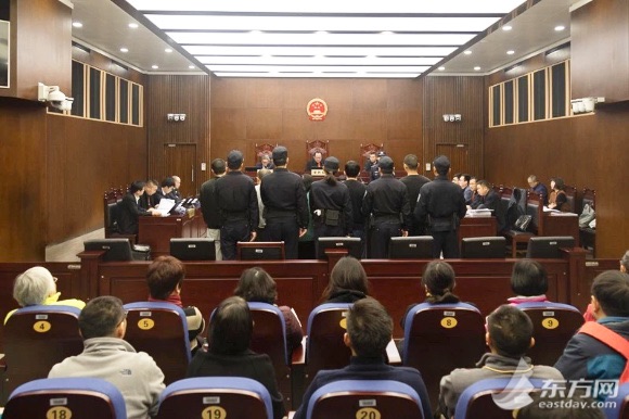 金银猫集资诈骗案开庭,金银猫最新事件进展